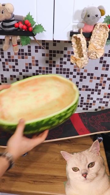 У НЮШИ ЕСТЬ МАШИНА ИЗ АРБУЗА смотреть онлайн