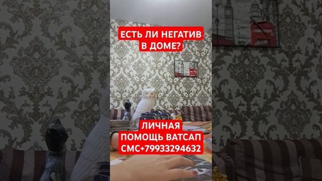 ЕСТЬ ЛИ НЕГАТИВ В ДОМЕ,СОСТОЯНИЕ ЖИЛЬЯ?#таро#чистка#ра?