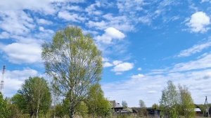 УЮТНЫЙ ДОМИК В ДЕРЕВНЕ/ЛЮБОВЬ К ПРИРОДЕ/НАЧИНАЕМ ШЛИФОВАТЬ СРУБ/САЖАЮ КАПУСТУ