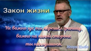 Закон жизни. Игорь Цыба.