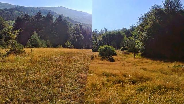 Витоша слайдшоу смотреть онлайн