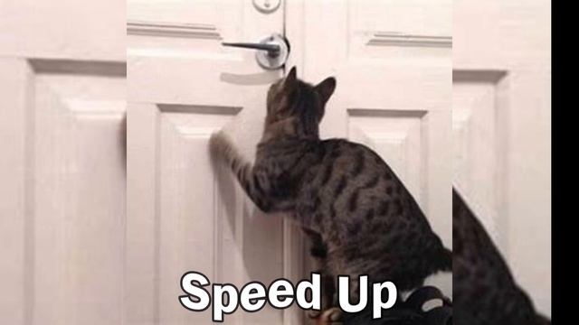 AP$ENT - МОЖНО Я С ТОБОЙ (Speed Up) #speedup смотреть онлайн