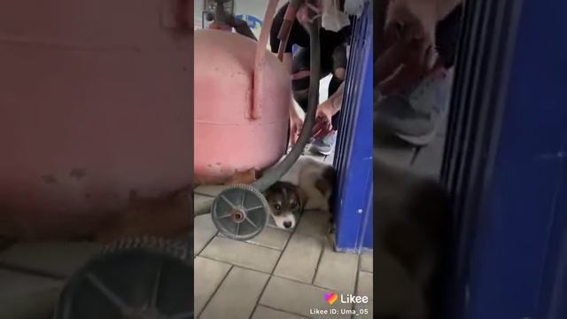 Цените пока ани есть❤️💔 смотреть онлайн