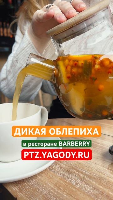 Дикая облепиха в виде чая в ресторане BARBERRY в Петрозаво смотреть онлайн