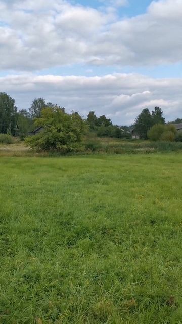 БОРЩЕВИК ПРОТКНУЛ МОЙ ДРОН И ОБ ЭТОМ ЕСТЬ ВИДОС!! #fpv #dron смотреть онлайн