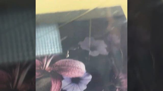 Фартук для кухни на стену, защитный экран для кухни на смотреть онлайн