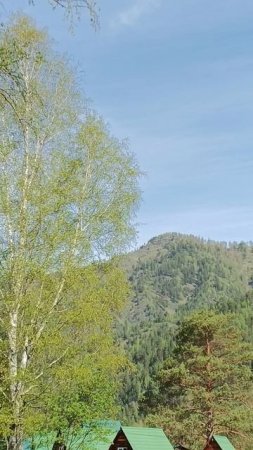 Я, в такой красоте. Чемал. Алтайский край