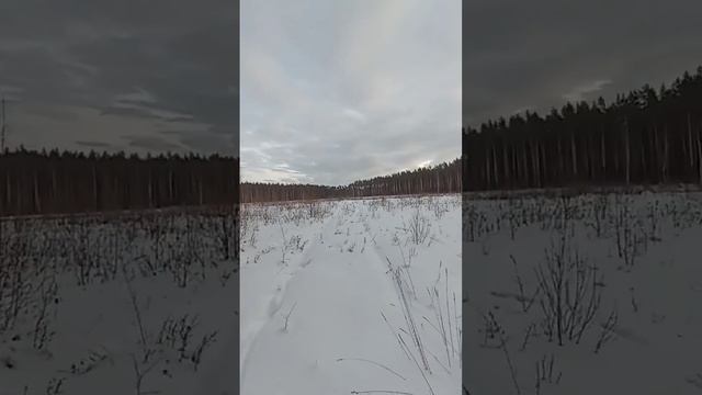 Новоберёзовская тропа здоровья!