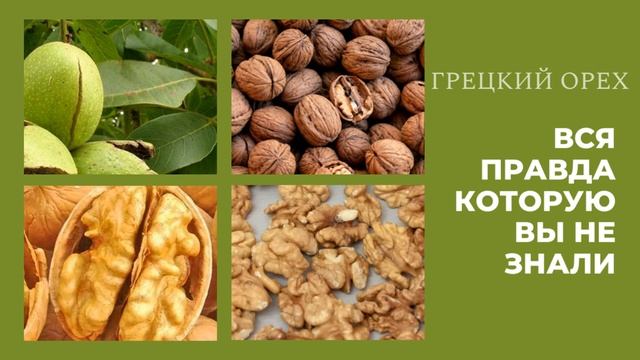 ГРЕЦКИЙ ОРЕХ ДЛЯ ЗДОРОВЬЯ СЕРДЦА И СОСУДОВ ЧЕМ ОЧЕНЬ П смотреть онлайн