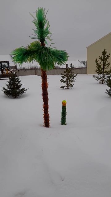 Пальма цветет и пахнет. смотреть онлайн