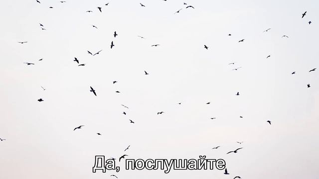 Ведь, если звёзды зажигают… Маяковский. Джаз, песня.