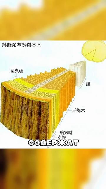 Зачем они ЕДЯТ ЭТО... смотреть онлайн