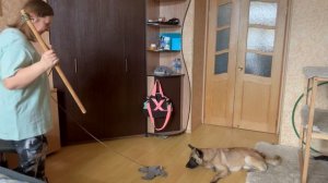 Игра. Начало. 03.04.2024.