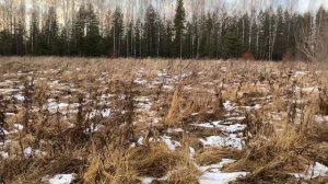 Участок под АЗС или кафе деревня Текун