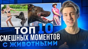 ТОП 10 СМЕШНЫХ МОМЕНТОВ С ЖИВОТНЫМИ!!