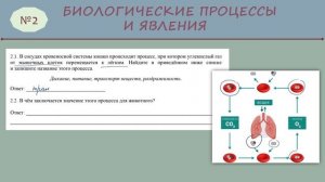 ВПР № 2_5класс