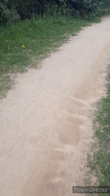 #мотивация успех#мечта#деньги #быть счастливым смотреть онлайн