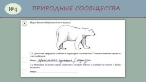 ВПР № 4 _5класс