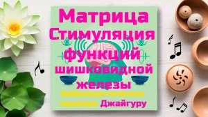 🎧🧘♀️Стимуляция шишковидной железы. Матрица. Виброакустическая терапия Джайгуру. ВАУ "Партнёр-Ол"