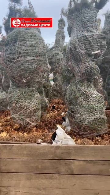 Рачительный садовод = счастливый 🙃