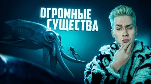 Самые крупные существа, снятые на камеру