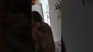 Квартира Сочи