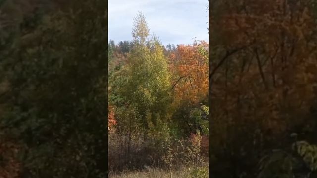 Если есть на Свете Рай, то это не Краснодарский край. А смотреть онлайн