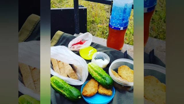 #поездка за грибами. #активный отдых. #тихая охота. #лет? смотреть онлайн