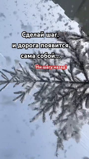 Ни шагу назад✨#ролик #рекомендации #подпишись #shorts #ют? смотреть онлайн