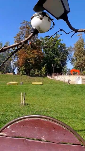 Влюблённые фонари над скамейкой ждут влюблённых. #love #m смотреть онлайн