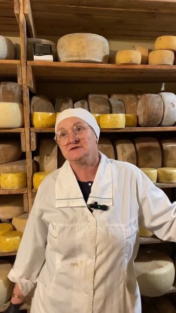 Хранилище сыров Сыроварня СОЛОНОВКИНО АЛТАЙСКИЙ КРАЙ смотреть онлайн