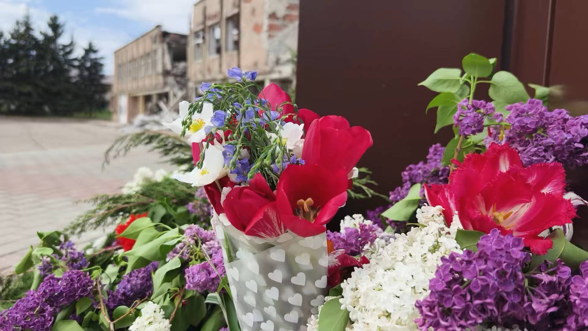Поселок Новолуганское: восстановление жизни после войны