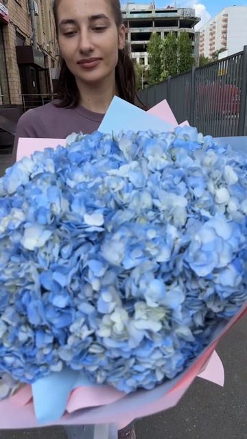 25 голубых гортензий#цветымосква смотреть онлайн