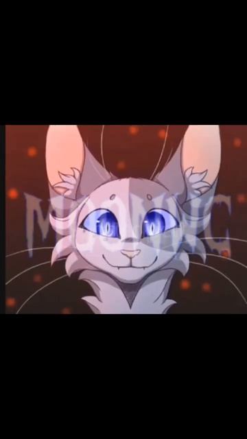 //- Они могут быть опасны, Синяя звезда #котывоители #кв? смотреть онлайн