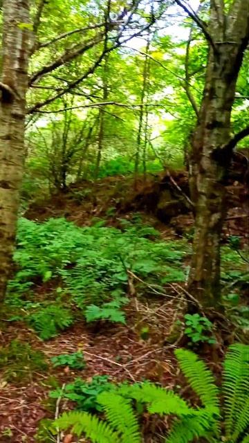 Туризм в Дагестане и там Красивые места природы - Похо? смотреть онлайн