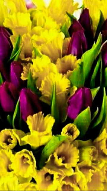 В мире цветов 🌹🌹🌹❤ смотреть онлайн