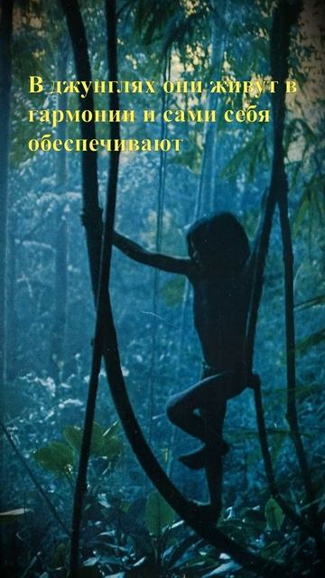 Семья из Индии живёт как маугли #shorts #маугли смотреть онлайн