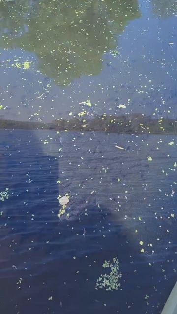 У меня есть привычка идти туда, куда запрещено. И я все? смотреть онлайн