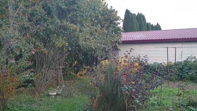 Осетинские осенние зарисовки . смотреть онлайн