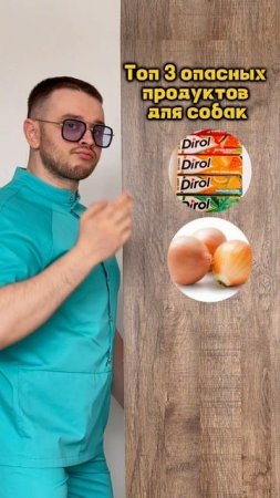 Топ 3 опасных продукта для собак