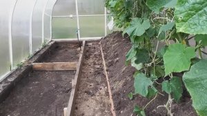 Укладываем греющую ленту в теплице. Готовлю грядки к следующему сезону.