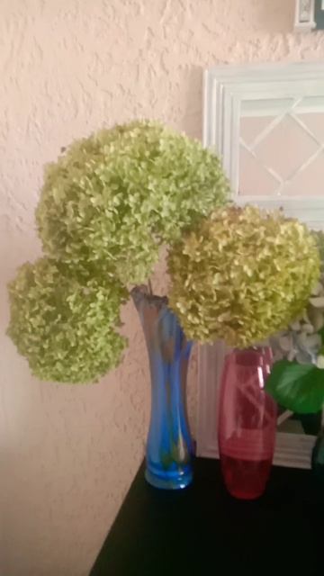 Аннабель в интерьере смотреть онлайн