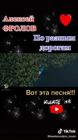 Алексей Фролов - По разным дорогам