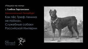 Глеб Таргонский / Как пёс Треф Ленина не поймал. Собаки на службе Российской Империи
