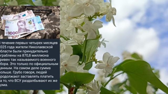 Николаев 9мая 2025 года (новости)