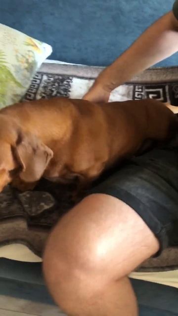 Дигустируем фильку будет есть лимон или нет я melez смотреть онлайн