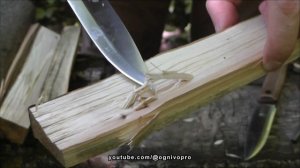 Нож Forester в ЛИНЗЕ против СКАНДИ от Kizlyar Supreme. Скидка в описании к видео.