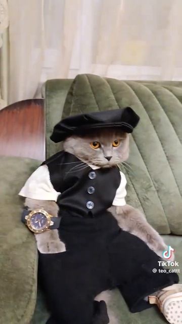 В каждой семье есть такое чудо? смотреть онлайн