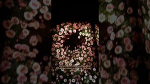 ARTE Museum Dubai — Лучший цифровой музей в Дубае | Куда сходи?