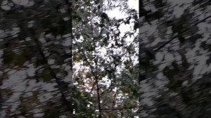 ну и погодка!